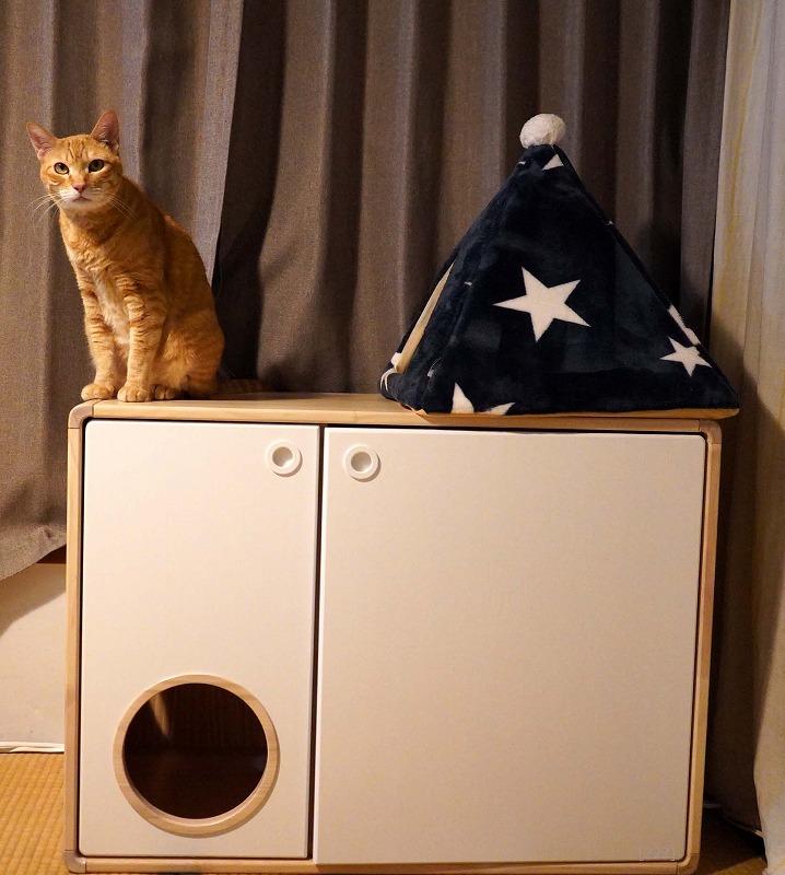こんなおしゃれな猫トイレを待っていた！natural wood cat kennel by paipai pets 体験レポ #カタパルト公認